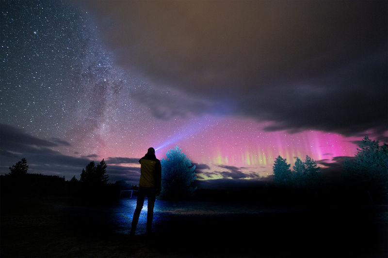 Chameleon Stargazing Guided Tour in Lake Tekapo - What to know before you book