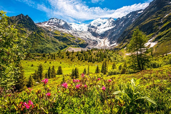 Chamonix Mont Blanc Private Day Trip From Geneva - Trip Overview and Itinerary