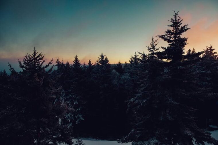 Chamonix: Snowshoeing Under the Stars - Guided Tours With Expert Knowledge