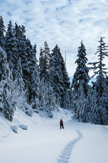 Chamonix: Snowshoeing Under the Stars - What to Expect During Your Snowshoeing Journey