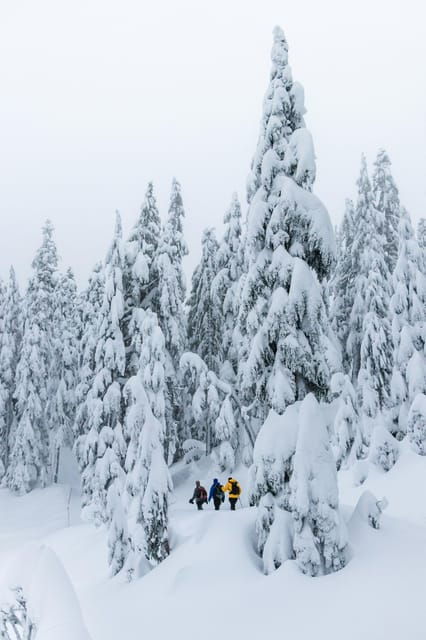 Chamonix: Snowshoeing With Local Cheese & Wine Tasting - Good To Know