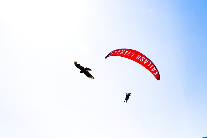 Chamonix, Tandem Paragliding in Planpraz - Common Questions About Tandem Paragliding in Planpraz