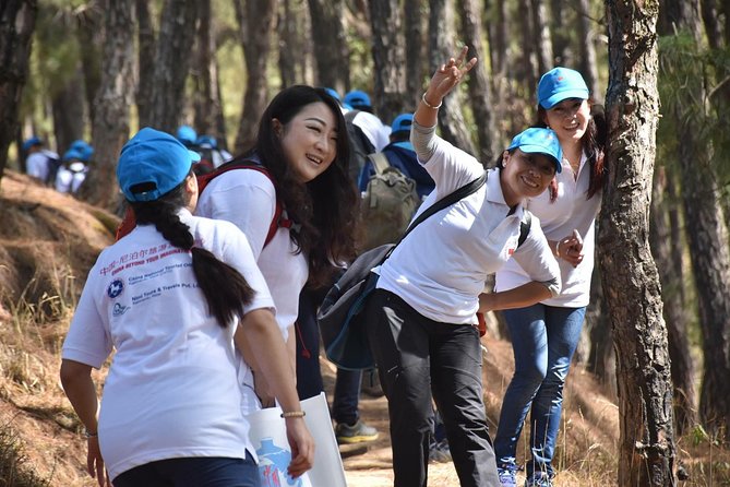 Champa Devi Hiking - Champa Devi Hiking Overview