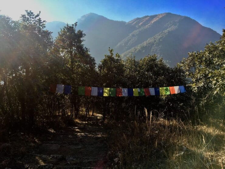 Champa Devi Hill Hike - A Private Hiking Trip - Key Points
