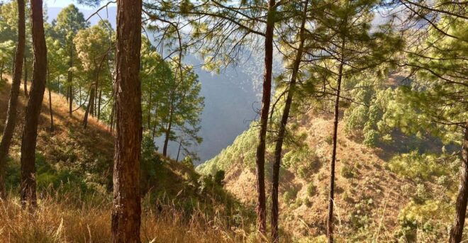 Champa Devi Hill Hike - A Private Hiking Trip - Cultural Significance