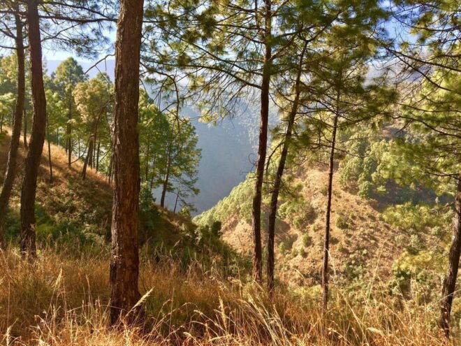 Champa Devi Hill Hike - A Private Hiking Trip - Inclusions and Exclusions