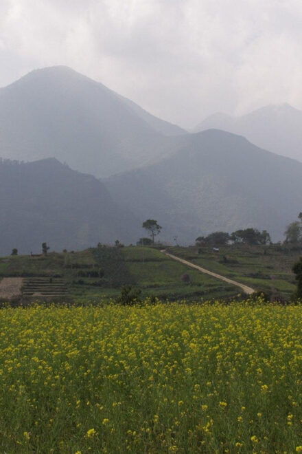 Champa Devi Hill Hike - A Private Hiking Trip - Meeting Point