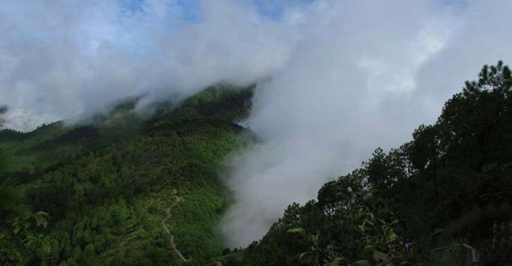 Champadevi: a Day Hike Around Kathmandu With Lunch - Booking Details