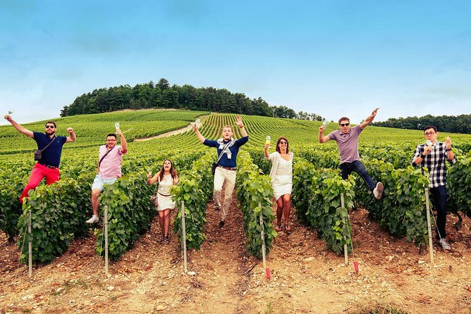 Champagne Albert Beerens Tour & Tasting - Traveler Reviews