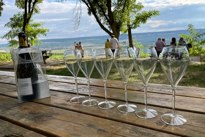 Champagne Area Small Group Day Trip With Cellar Visits & Tastings From Paris - Traveler Reviews