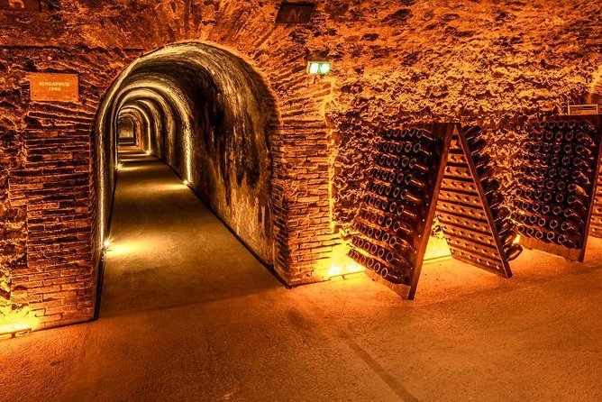 Champagne Area Small Group Day Trip With Cellar Visits & Tastings From Paris - Common Questions
