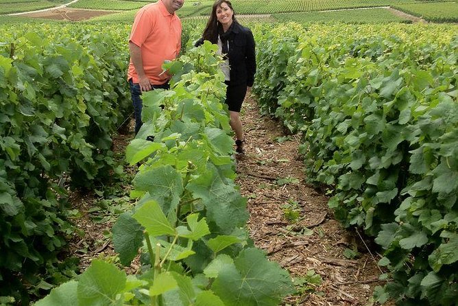 Champagne Area Small-Group Tour Including a Top Champagne House & Family Winery - Highlights of the Tour