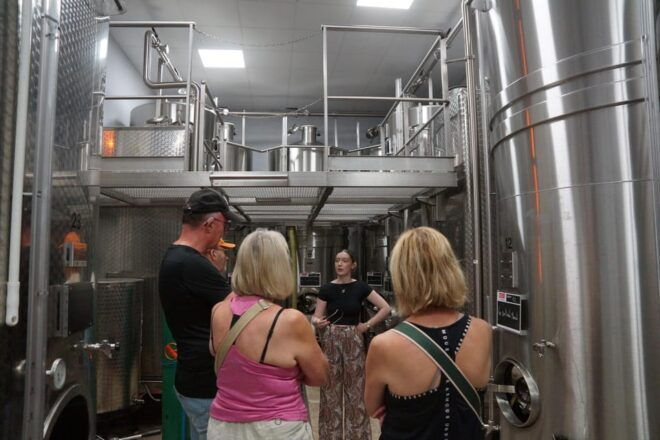 Champagne Cellar Experience: Explore Our Historic Cellars - Important Considerations