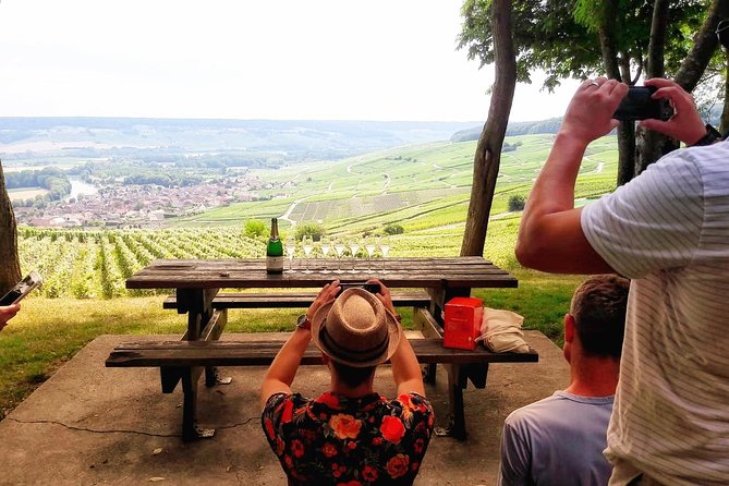 Champagne Cellars & Vineyards Tour From Reims All Included - Cancellation Policy