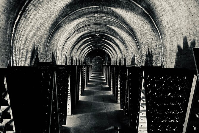 Champagne Cellars & Vineyards Tour From Reims Full Day - Customer Reviews