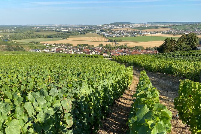 Champagne Cellars & Vineyards Tour From Reims Full Day - Frequently Asked Questions