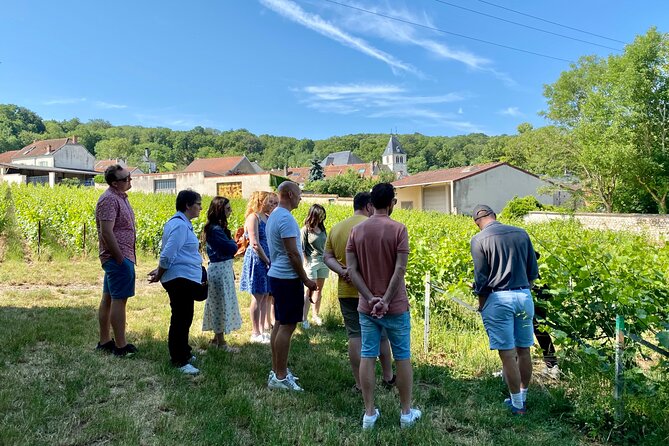 Champagne Cellars & Vineyards Tour From Reims Full Day - The Sum Up