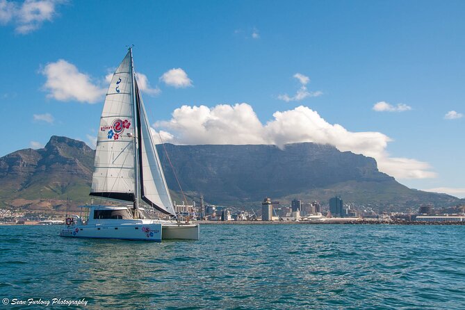Champagne Cruise (Pre-Sunset) From Cape Town - Inclusions and Meeting Point