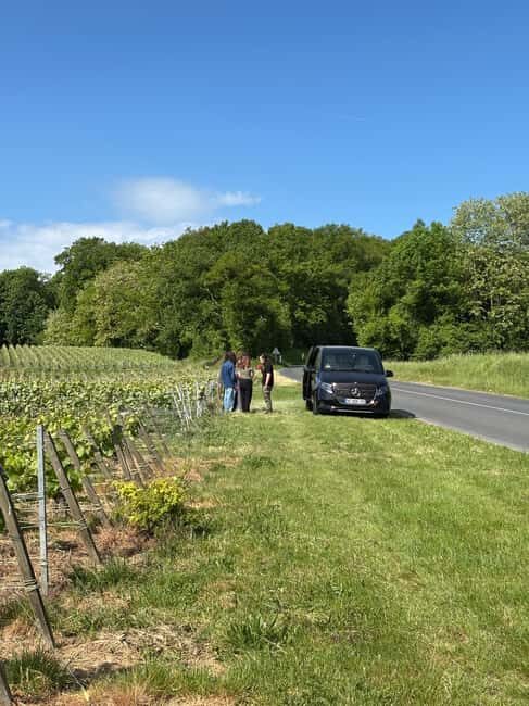 Champagne Day Tour Tours, tastings, and lunch included - Who Is This Tour Best For?