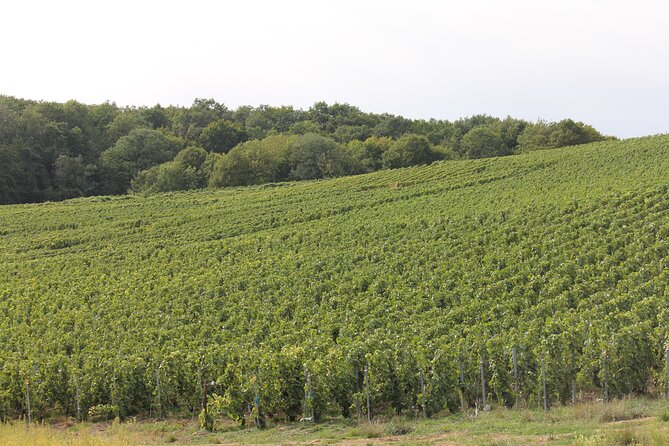 Champagne Enthusiast Custom Planned Tours - Romantic Locations - Pricing and Booking Details