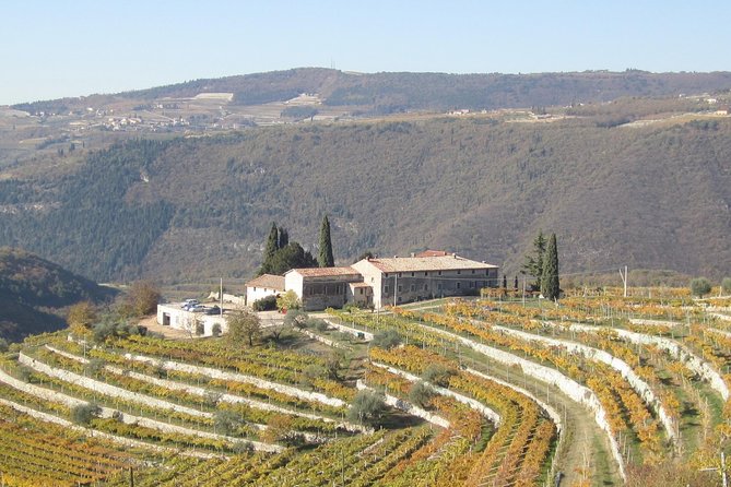 Champagne Experience at a Boutique Winery - Common Questions