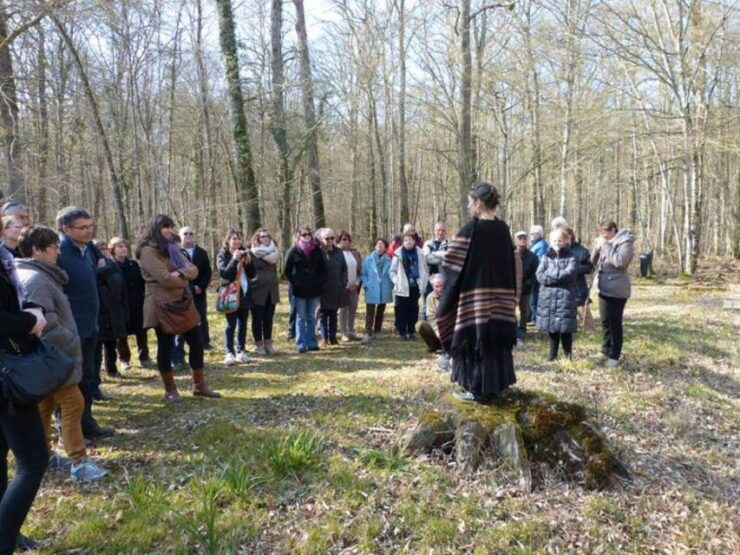 Champagne: Guided Nature Walk & Storytelling Experience - Price and Duration Details