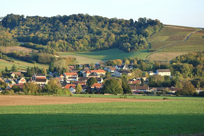 Champagne Guy De Chassey : Premium Tour and Tasting - Grand Cru Wine Estate
