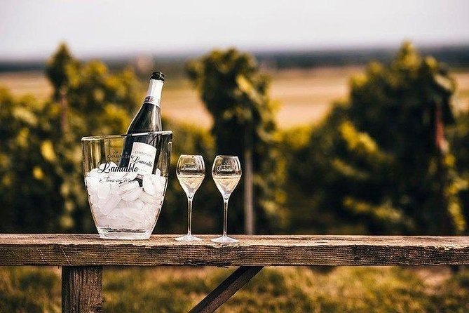 Champagne Lamiable: Stroll and Taste in the Grand Cru Champagne Vineyard - Meeting and Pickup Details
