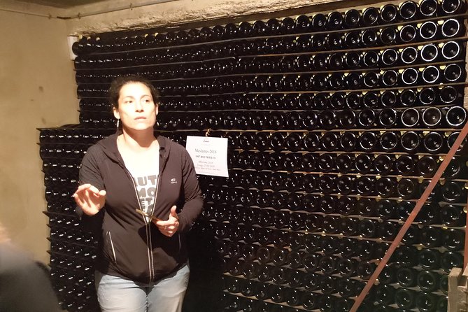Champagne Lamiable: Traditional Tour & Tasting - Behind-the-Scenes Tour