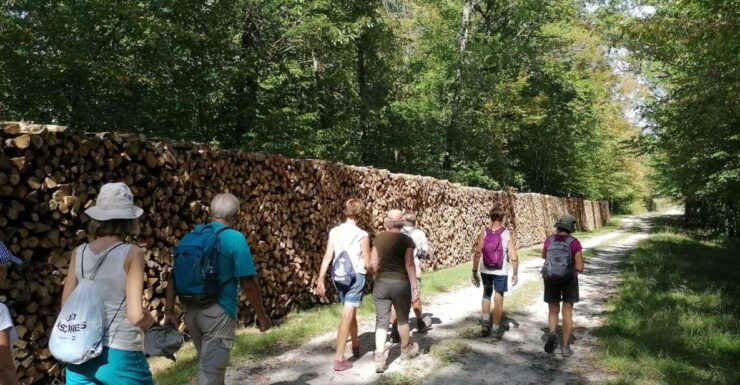 Champagne: Landscapes Guided Hike - Hike Highlights