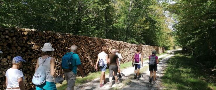 Champagne: Landscapes Guided Hike - Booking Information