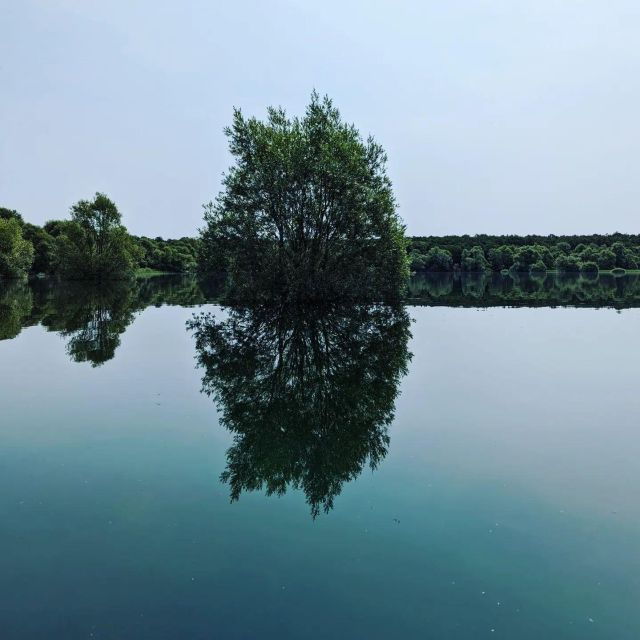 Champagne: Landscapes Guided Hike - Activity Details