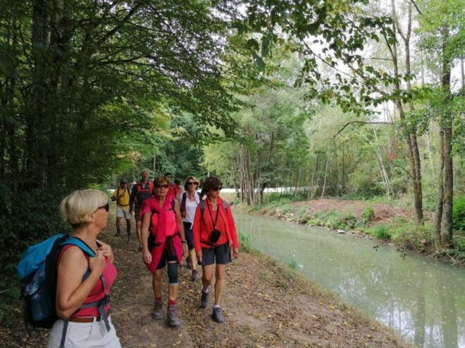 Champagne: Landscapes Guided Hike - Frequently Asked Questions