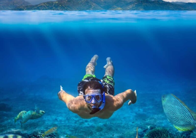 Champagne & Lobster Snorkeling Cruise - Who Should Book This Tour?