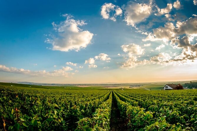 Champagne Lovers Full-Day Private Mercedes Tasting Tour  - Reims - Cancellation Policy and Reviews