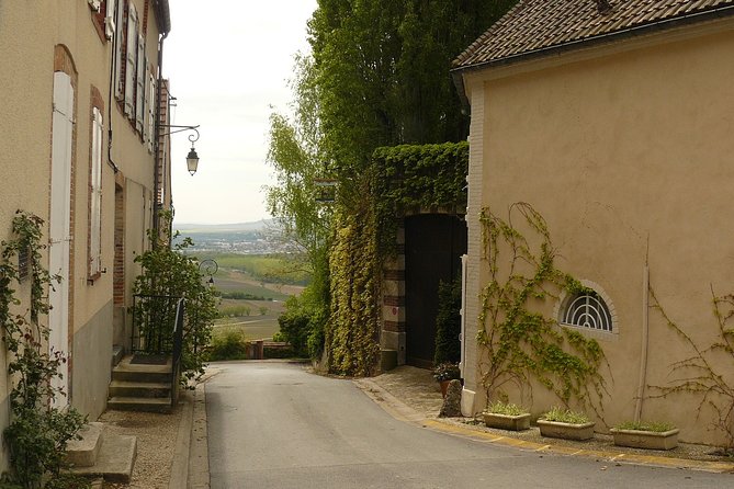 Champagne Lovers Half Day Tour for Private Groups Over 8 With Coach & Driver - Tour Experience