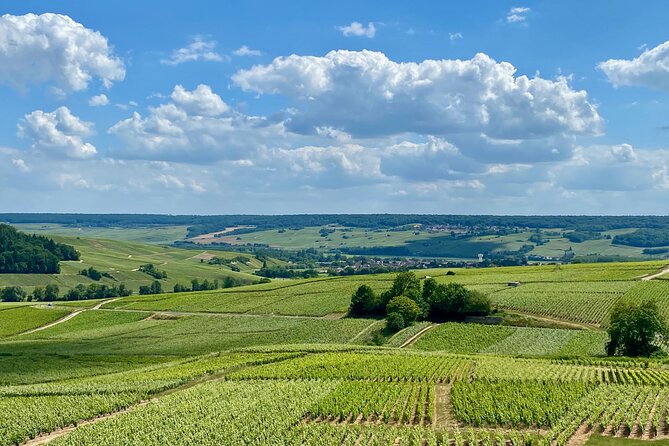 Champagne Mercier, Pressoria, Chateau Boursault Small-group Trip - Pricing and Booking Details