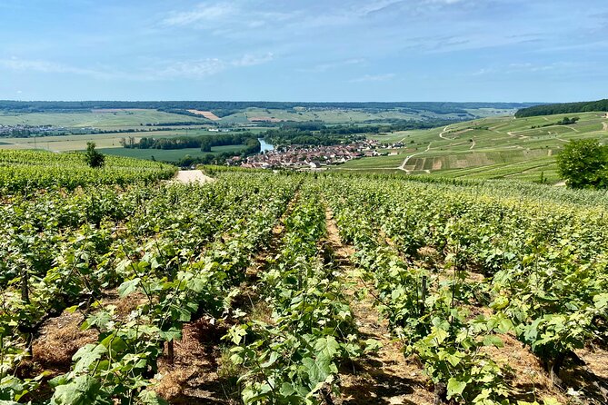 Champagne Mercier, Pressoria, Chateau Boursault Small-group Trip - Additional Information