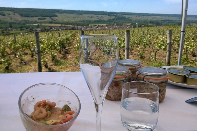 Champagne Moet and Chandon Private Tour With Tastings From Reims or Epernay - Tour Duration and Availability