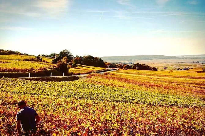 Champagne Moet and Chandon Private Tour With Tastings From Reims or Epernay - Customer Reviews