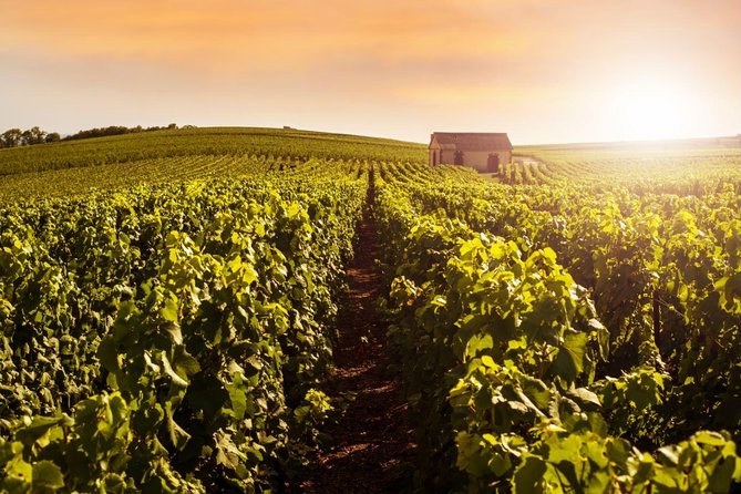 Champagne Moet and Chandon Private Tour With Tastings From Reims or Epernay - Common Questions