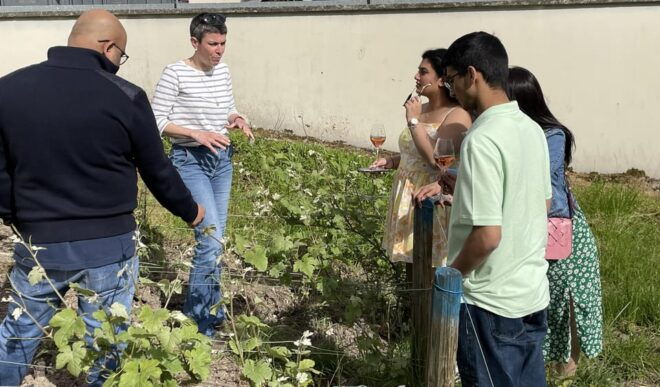 Champagne Munoz Bruneau : Half Day Visit and Tasting - Important Information