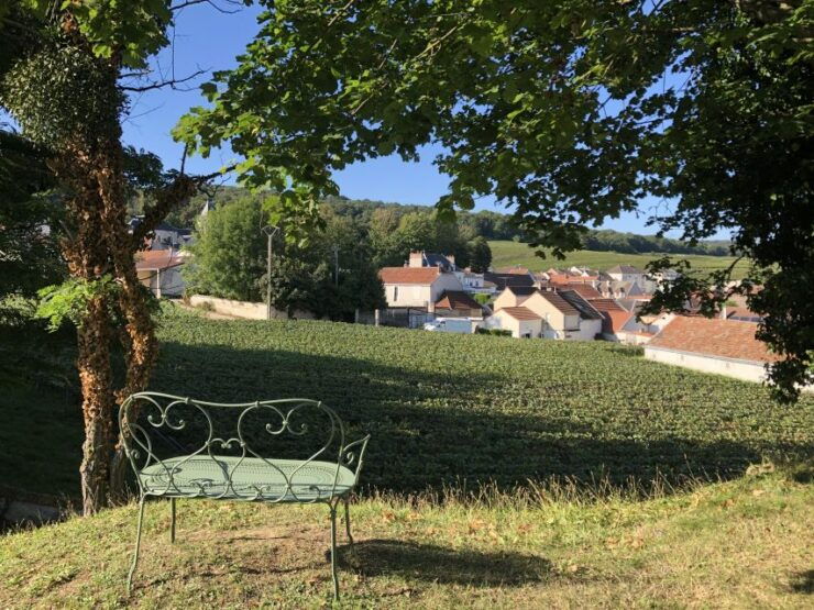 Champagne: Organic Champagne Tasting - Event Details