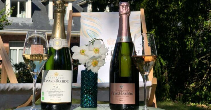 Champagne: Organic Champagne Tasting - Highlights