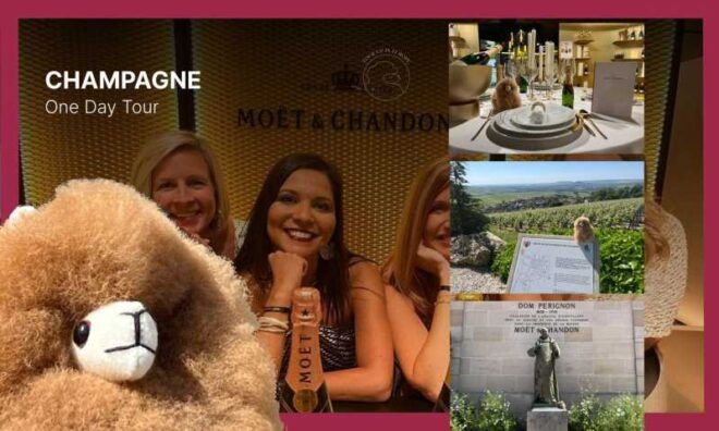Champagne Private Day Trip: Epernay & Reims 9 Glasses - Key Visits and Experiences