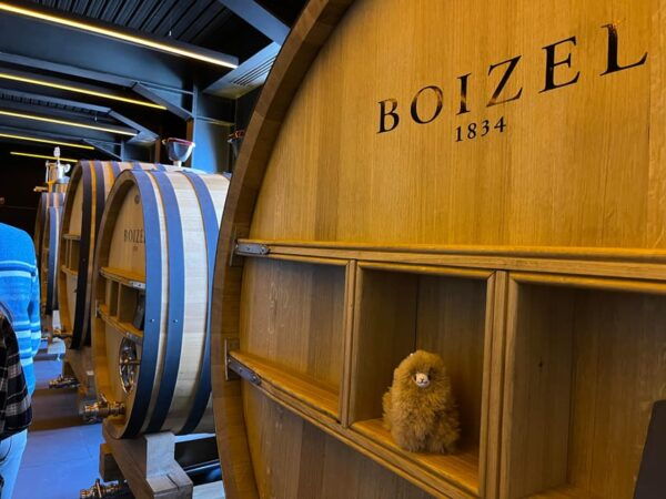 Champagne Private Day Trip: Epernay & Reims 9 Glasses - Booking and Cancellation Policy