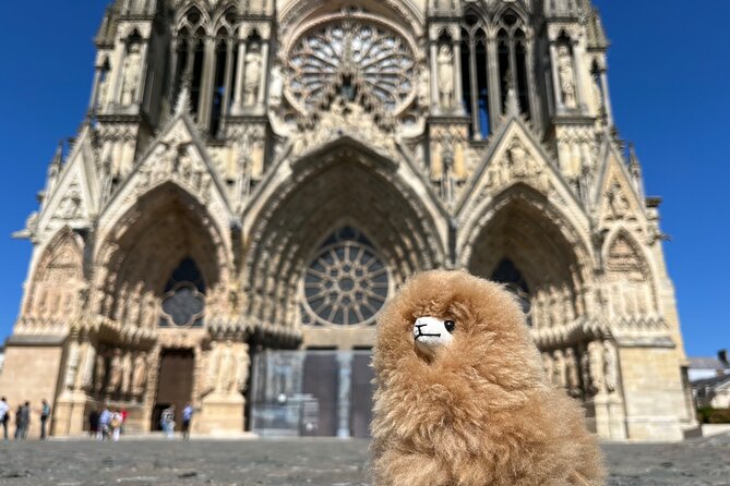 Champagne Private Guided Full-Day Trip Épernay & Reims 10 Glasses - Tour Details