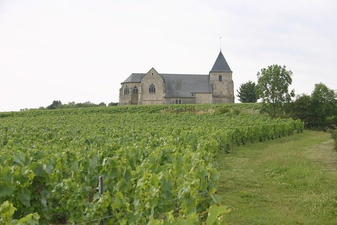 Champagne Private Vineyard Day Tour With Tastings and Lunch  - Reims - Tour Details