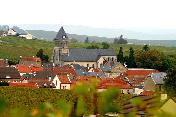 Champagne Private Vineyard Day Tour With Tastings and Lunch  - Reims - Inclusions