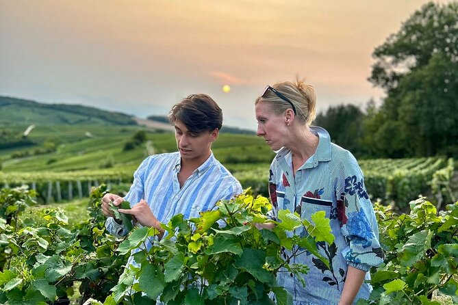 Champagne Private VIP Wine Day Trip With Michelin Lunch - Tour Details